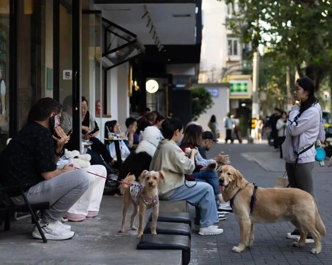 弃了双11爱上了“老年严选”OG真人游戏这届脆皮年轻人抛(图13)